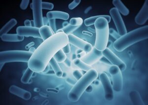 Rappresentazione tridimensionale di batteri intestinali su sfondo blu